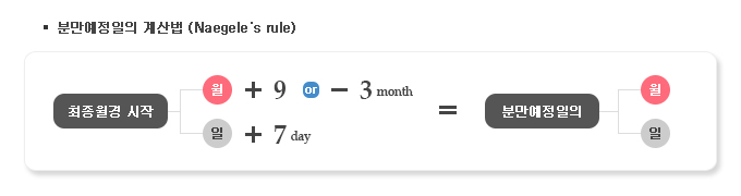 임신주수 계산